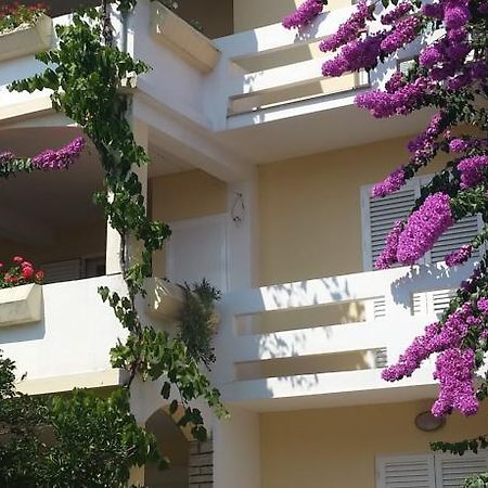 Apartment Katarina Novalja Rom bilde